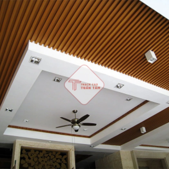 Trần nhựa 10