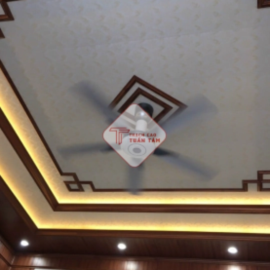 Trần nhựa 04