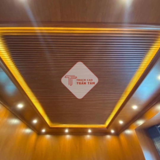 Trần nhựa 08