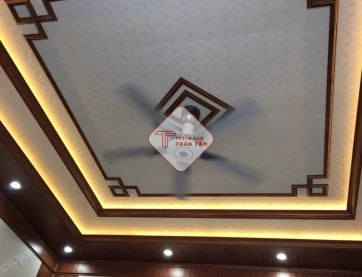 Trần nhựa 04